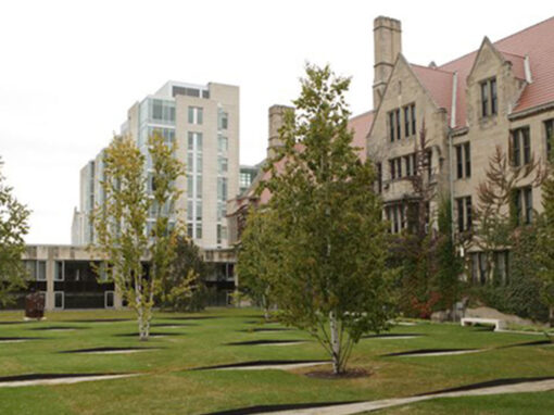 University Of Chicago